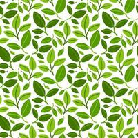 A pattern of green branches with many leaves. Background for printing on environmental topics. Fresh themes of spring, nature, flowering. Botanical seamless pattern, hand-drawn lines, artistic leaves vector