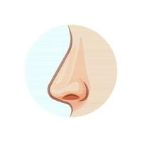 Human nose vector isolated on white background.