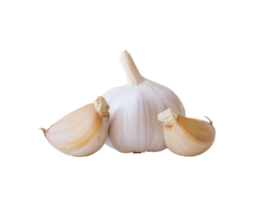 Single fresh white garlic bulb with segments isolated with clipping path in png file format, Thai herb is great for healing several severe diseases, heart attack, Hyperlipidemia