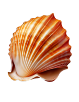 Seashell on transparent background, created with png