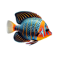 tropical peixe isolado em transparente fundo, criada com generativo ai png