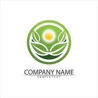 Tree leaf vector and green logo design friendly concept