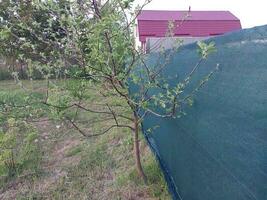 Installation of a protective mesh on the fence photo