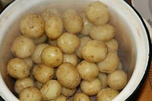 Young fresh small potatoes for cooking photo