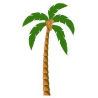 tropical palma árbol diseño elemento png