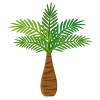 tropisk kalifornien strand handflatan grönt djungel hawaiian grön träd png