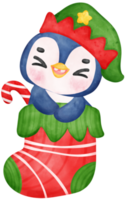 Cute happy joyful christmas penguin santa helper wears elf hat cartoon character watercolor hand drawing png