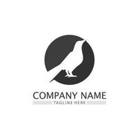 Birds and swallow dove logo design and vector animal wings and flying bird