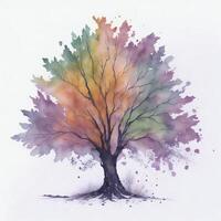 watercolor tree in white background photo