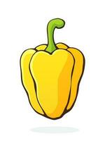 Cartoon illustration of yellow bell pepper or paprika with a stem vector