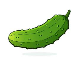 Cartoon illustration of cucumber with a stem vector