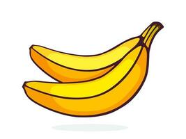 Cartoon illustration of two bananas vector