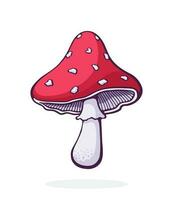 Cartoon illustration. Amanita mushroom with a red spotted hat. Poisonous toadstool fly agaric. Graphic design with contour. Clip-art print for packaging. Isolated on white background vector