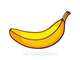 Cartoon illustration of not peeled banana vector