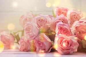 light pink roses photo