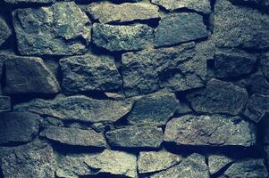 Seamless Textured Wall Surface photo