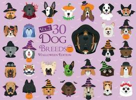 Set of 30 dog breeds with Halloween costumes. Set 2 vector