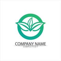 Tree leaf vector and green logo design friendly concept