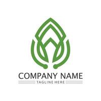 Eco Energy Vector Logo with leaf symbol. Green color with flash or thunder graphic. Nature and electricity renewable. This logo is suitable for technology, recycle, organic.