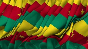 Cameroon Flag Cloth Seamless Looped Waving, 3D Rendering video