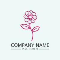 vector de diseño de flores para spa, boutique, salón de belleza, esteticista, tienda, clase de yoga, hotel y resort