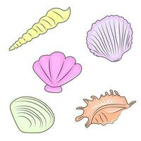 set of seashells on white background vector