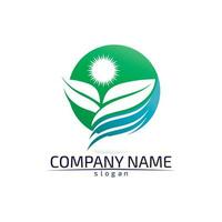 Tree leaf vector design eco friendly concept logo