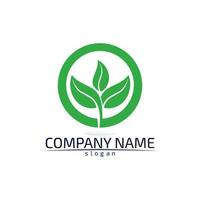 Tree leaf vector design eco friendly concept logo