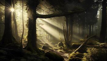 Mysterious fog veils tranquil autumn forest scene , photo