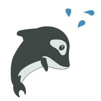 Illustration of a killer whale isolated on a white background - vector.  Cute killer whale in flat style vector