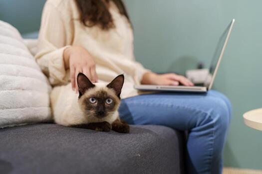 mujer trabajando desde hogar con gato. gato dormido en el ordenador portátil teclado. asistente gato trabajando a ordenador portátil foto