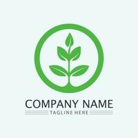 leaf logo design vector for nature symbol template editable,Green leaf logo ecology nature element vector icon.