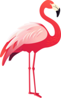 carino rosa fenicottero isolato. vettore illustrazione eps10 png