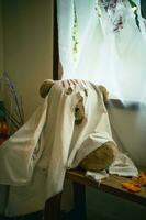 Halloween Scary with Cute teddy bearGhost photo