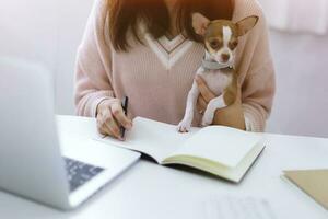 Coronavirus. Business woman working from home with dog Concept home quarantine prevention COVID-19 Coronavirus outbreak situation. photo