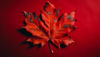 Vibrant autumn maple tree leaves in close up generated by AI photo