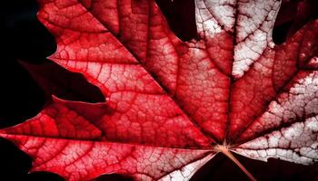 Vibrant autumn leaf vein in close up macro generated by AI photo