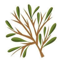 branch plant gardening icon isolated vector