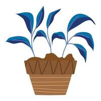 planta en un maceta, jardinería icono aislado vector