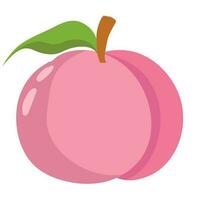 peach fruit isolated icon design vector