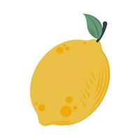 Natural fresh organic fruit lemon icon isolated vector