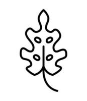 starfish animal line icon isolated vector