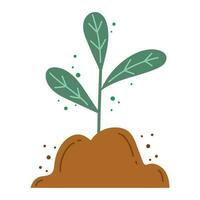 Growing plant nature growth and development icon isolated vector