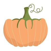 pumpkin icon isolated white background vector