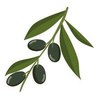 tree branch with Olives icon isolated vector