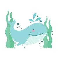 Cute dolphin swimming in water icon isolated vector