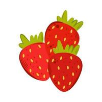 Fresh ripe strawberry icon isolated vector