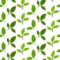 A pattern of green branches with leaves. Background for printing on environmental topics. Fresh themes of spring, nature, flowering. Botanical seamless pattern, hand-drawn lines, artistic leaves vector