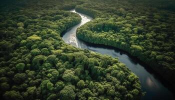 Tranquil scene High up, drone captures beauty in nature freshness generated by AI photo