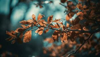 Vibrant autumn foliage on maple tree, a natural phenomenon generated by AI photo